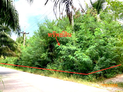 Land for sale Don Sak Surat Thani : LAND for sale  Don Sak Don Sak Surat Thani