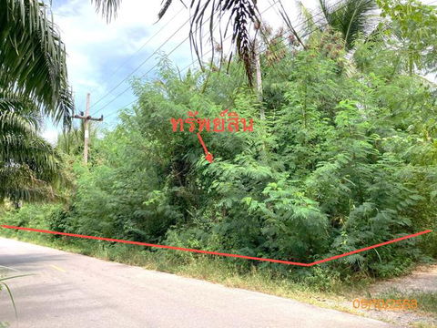LAND for sale  Don Sak Don Sak Surat Thani