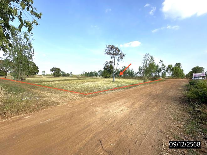 รูป ที่ดินว่างเปล่า สำหรับขาย - เชียงใหม่ โพธิ์ชัย ร้อยเอ็ด - รูปที่ 2/16