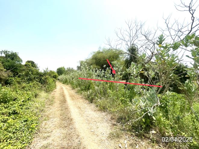 รูป ที่ดินว่างเปล่า สำหรับขาย - ดงป่าคำ เมืองพิจิตร พิจิตร - รูปที่ 2/18