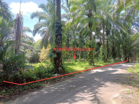 ที่ดินว่างเปล่า 279.8 ตร.วา วังวิเศษ ตรัง 504,000