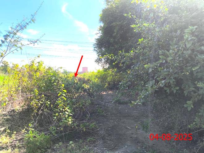 รูป ที่ดินว่างเปล่า สำหรับขาย จันทิมา พิชัย เมืองลำปาง ลำปาง - รูปที่ 5/14