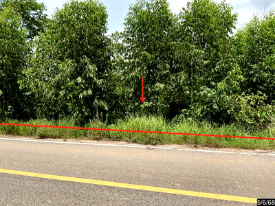 Land for sale Kalasin : LAND for sale  Lum Khlong Muang Kalasin Kalasin