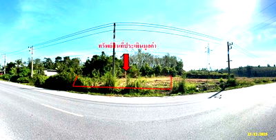 Land for sale Muang Yala Yala : LAND for sale  Budi Muang Yala Yala