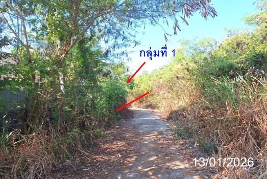 รูป ที่ดินว่างเปล่า สำหรับขาย - ท่าตุ้ม ป่าซาง ลำพูน - รูปที่ 17/20