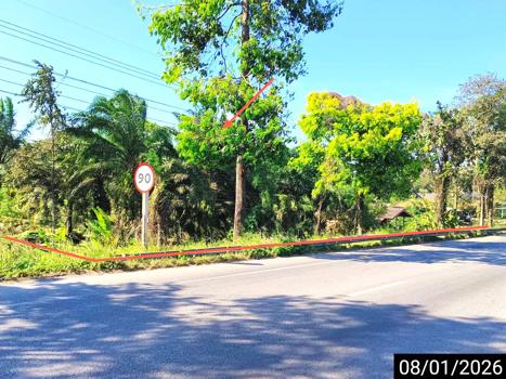 picture LAND for sale  Tha Sae Tha Sae Chumphon - 13/16
