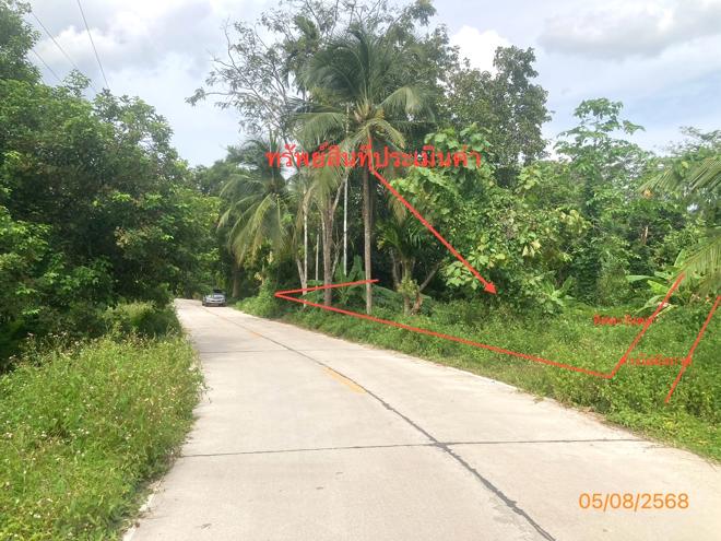 รูป ที่ดินว่างเปล่า สำหรับขาย - นาใต้ บ้านนาเดิม สุราษฎร์ธานี - รูปที่ 2/14