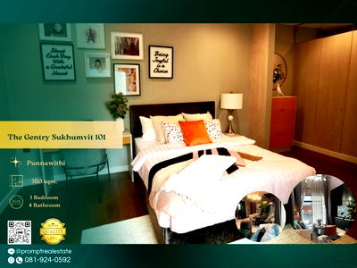 Houses for rent Bangna Commercial College : ST13837 - The Gentry Sukhumvit 101