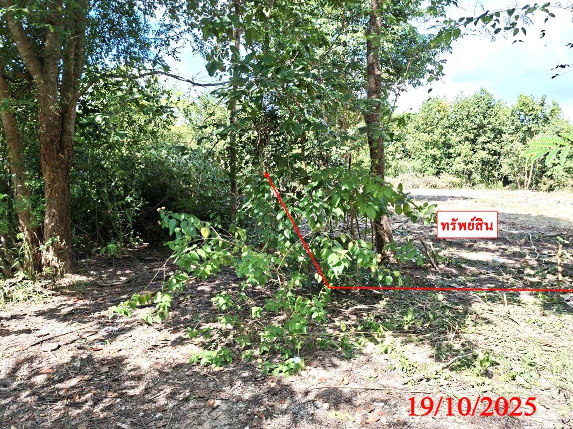 รูป ที่ดินว่างเปล่า สำหรับขาย - บ้านกลาง สันป่าตอง เชียงใหม่ - รูปที่ 20/24