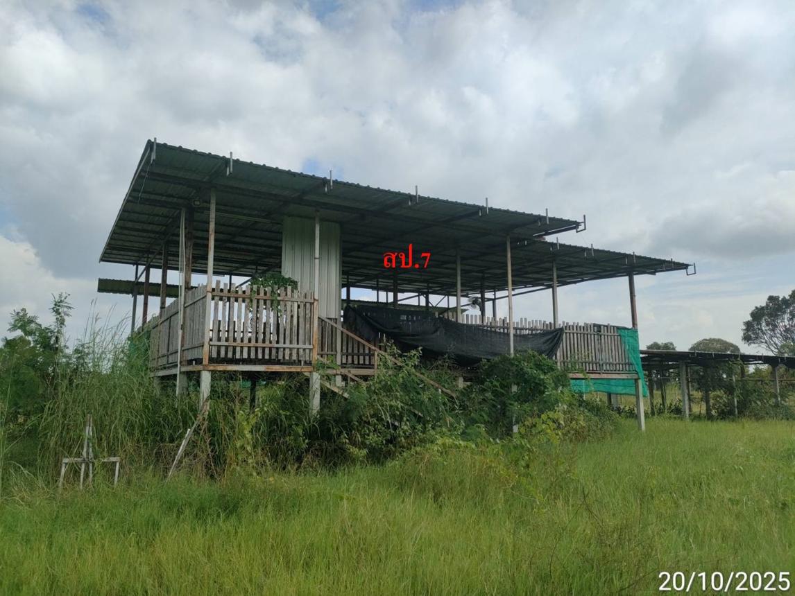 รูป โกดัง สำหรับขาย - ราษฎร์พัฒนา พยัคฆภูมิพิสัย มหาสารคาม - รูปที่ 28/36