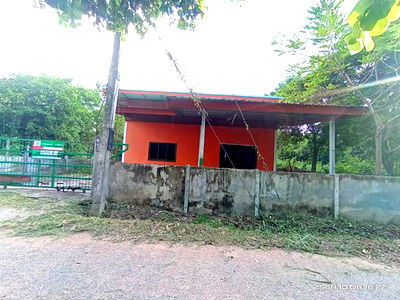 Houses for sale Kalasin : HOME for sale  Yang Talat Yang Talat Kalasin