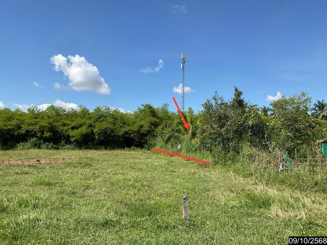 รูป ที่ดินว่างเปล่า สำหรับขาย - วัดธาตุ เมืองหนองคาย หนองคาย - รูปที่ 3/18