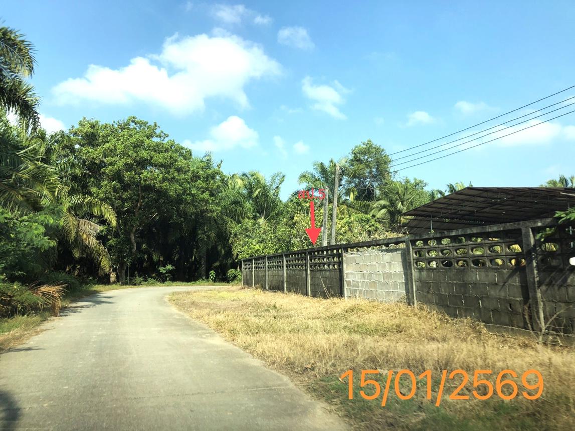 รูป โกดัง สำหรับขาย - ปกาสัย เหนือคลอง กระบี่ - รูปที่ 23/30