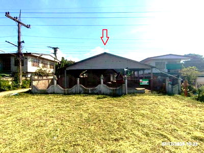 Houses for sale Dok Kham Tai Phayao : HOME for sale  Dong Suwan Dok Kham Tai Phayao