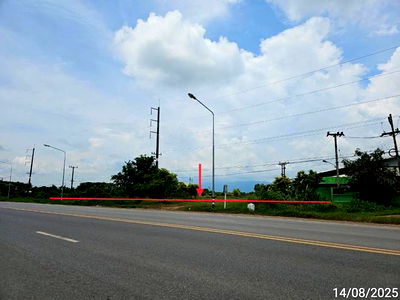 Land for sale Phetchabun : LAND for sale  Lom Kao Lom Kao Phetchabun