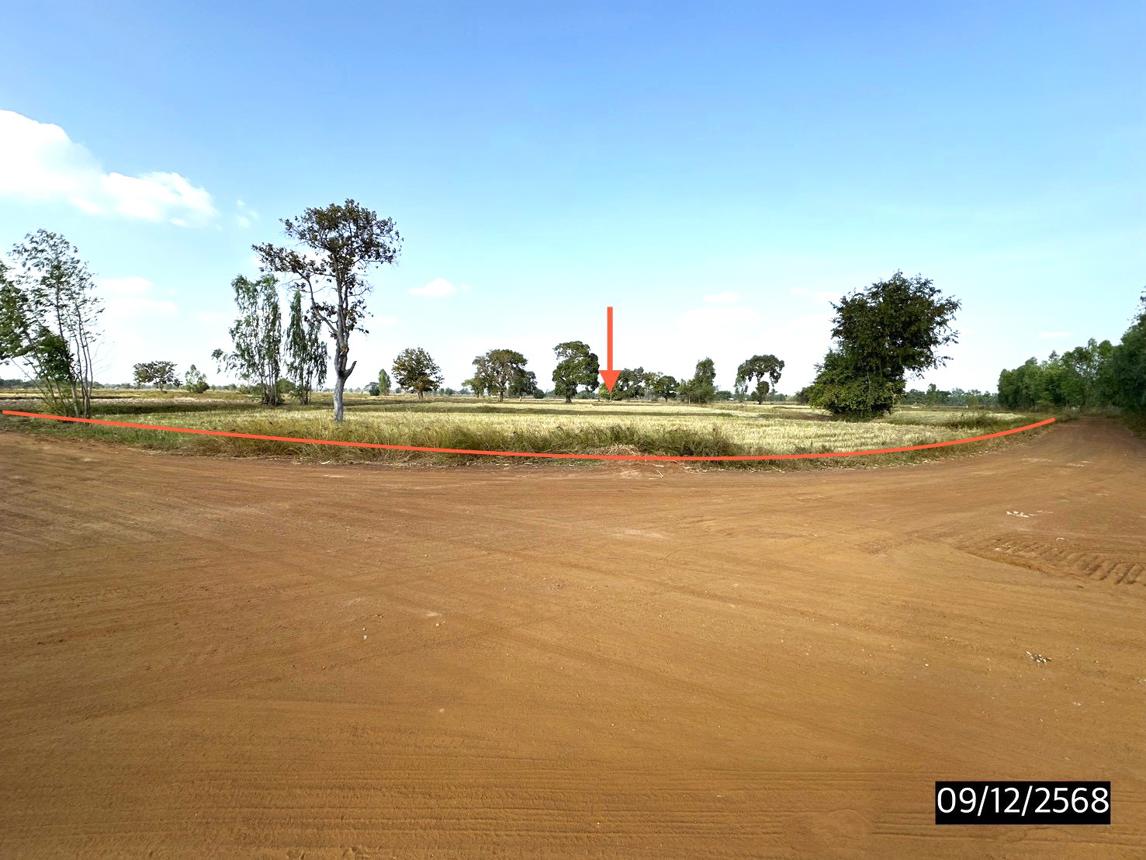 รูป ที่ดินว่างเปล่า สำหรับขาย - เชียงใหม่ โพธิ์ชัย ร้อยเอ็ด - รูปที่ 7/16