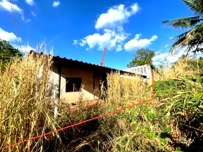 บ้านเดี่ยว ศรีราชา ชลบุรี : บ้านเดี่ยว สำหรับขาย - บึง ศรีราชา ชลบุรี