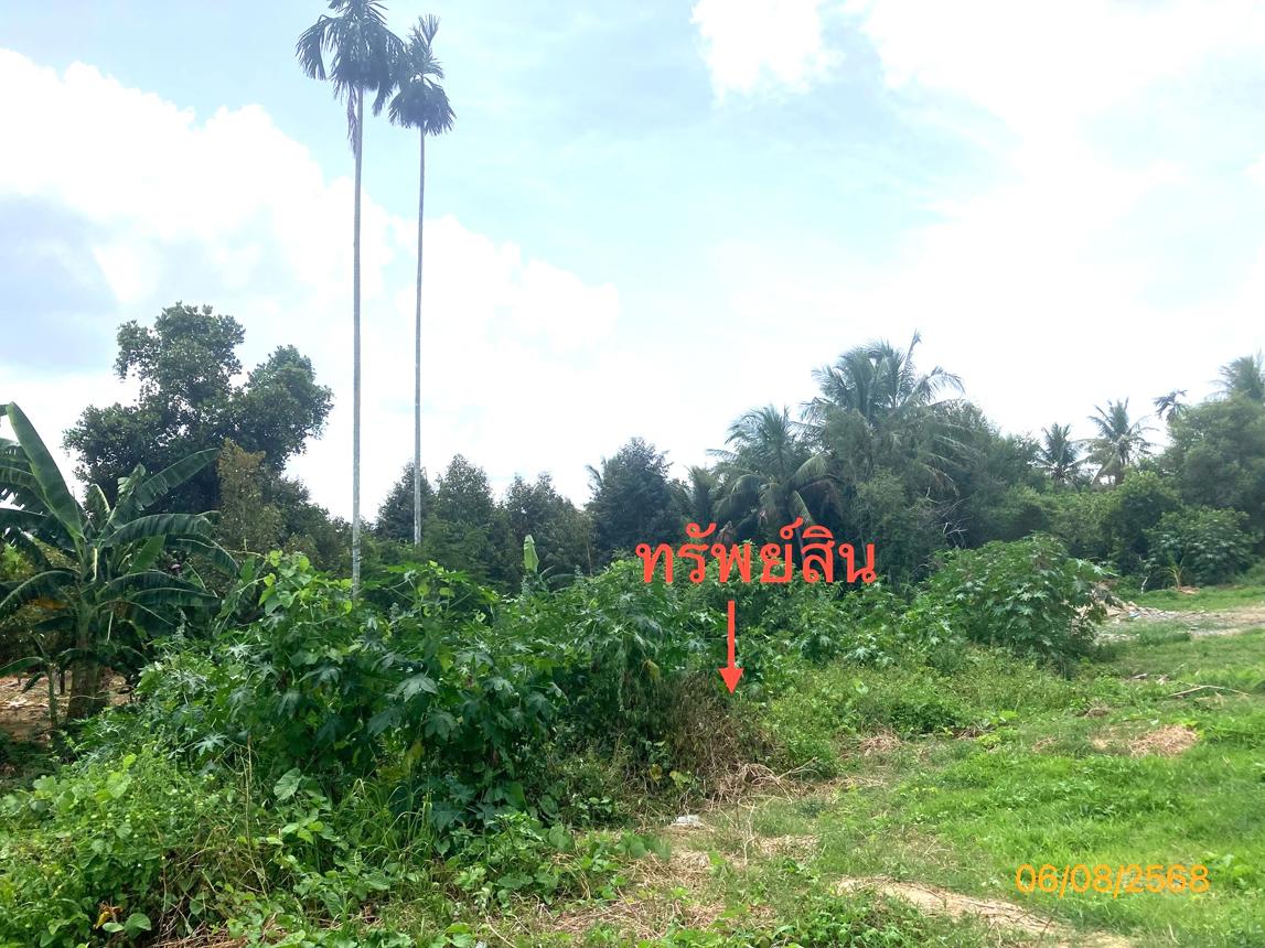 รูป ที่ดินว่างเปล่า สำหรับขาย - กรูด กาญจนดิษฐ์ สุราษฎร์ธานี - รูปที่ 12/18