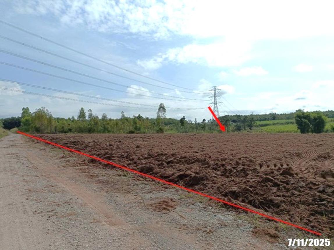 รูป ที่ดินว่างเปล่า สำหรับขาย - โนนสะอาด ศรีบุญเรือง หนองบัวลำภู - รูปที่ 11/24
