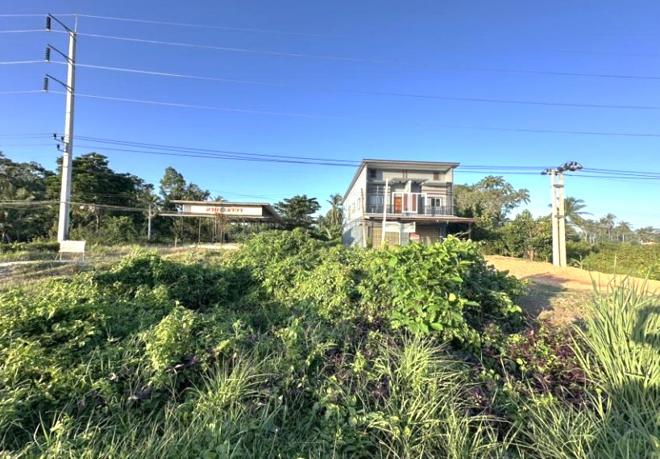 รูป ที่ดินว่างเปล่า สำหรับขาย - ดอน ปะนาเระ ปัตตานี - รูปที่ 2/16