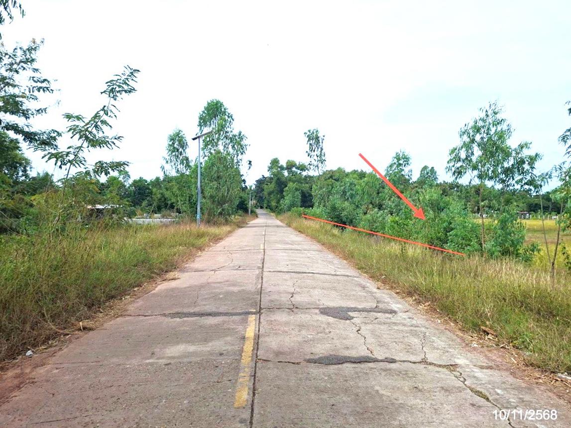 picture LAND for sale  Kut Chim That Phanom Nakhon Phanom - 8/14