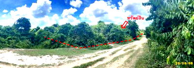 ที่ดิน นราธิวาส : ที่ดินว่างเปล่า สำหรับขาย - ลำภู เมืองนราธิวาส นราธิวาส