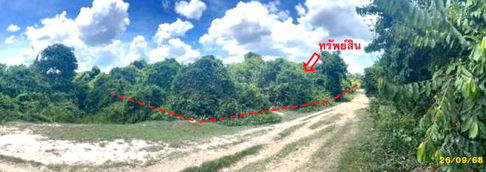 ที่ดินว่างเปล่า สำหรับขาย - ลำภู เมืองนราธิวาส นราธิวาส