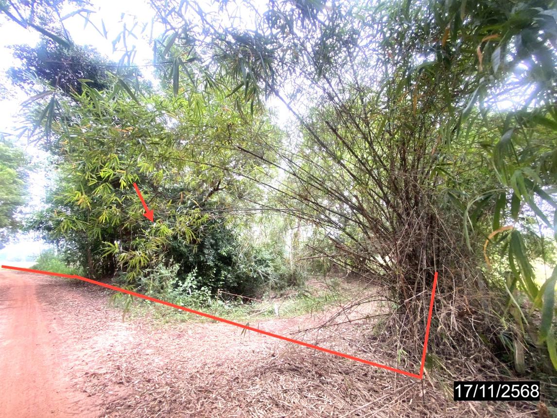 รูป ที่ดินว่างเปล่า สำหรับขาย - เวียงคำ กุมภวาปี อุดรธานี - รูปที่ 12/24