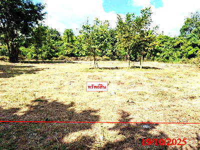 Land for sale San Pa Tong Chiang Mai : LAND for sale  Ban Klang San Pa Tong Chiang Mai