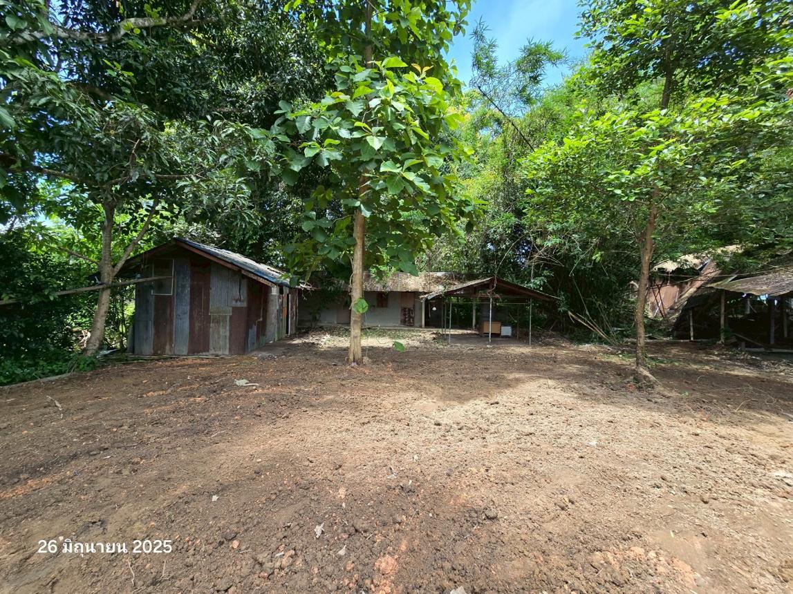 รูป บ้านเดี่ยว สำหรับขาย - บัวสลี แม่ลาว เชียงราย - รูปที่ 49/58