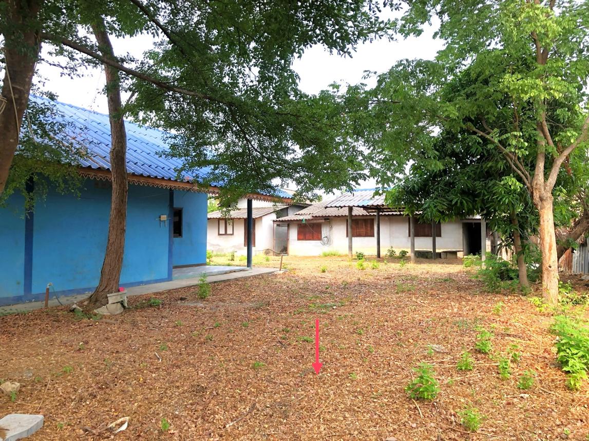 รูป บ้านเดี่ยว สำหรับขาย - ไม้งาม เมืองตาก ตาก - รูปที่ 39/44