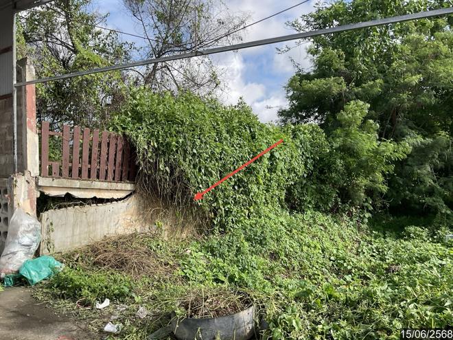 picture FACTORY for sale  Dong Mada Mae Lao Chiang Rai - 8/24