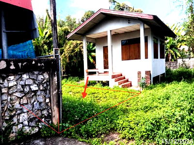 Land for sale Phrae : LAND for sale  Nam Cham Sung Men Phrae