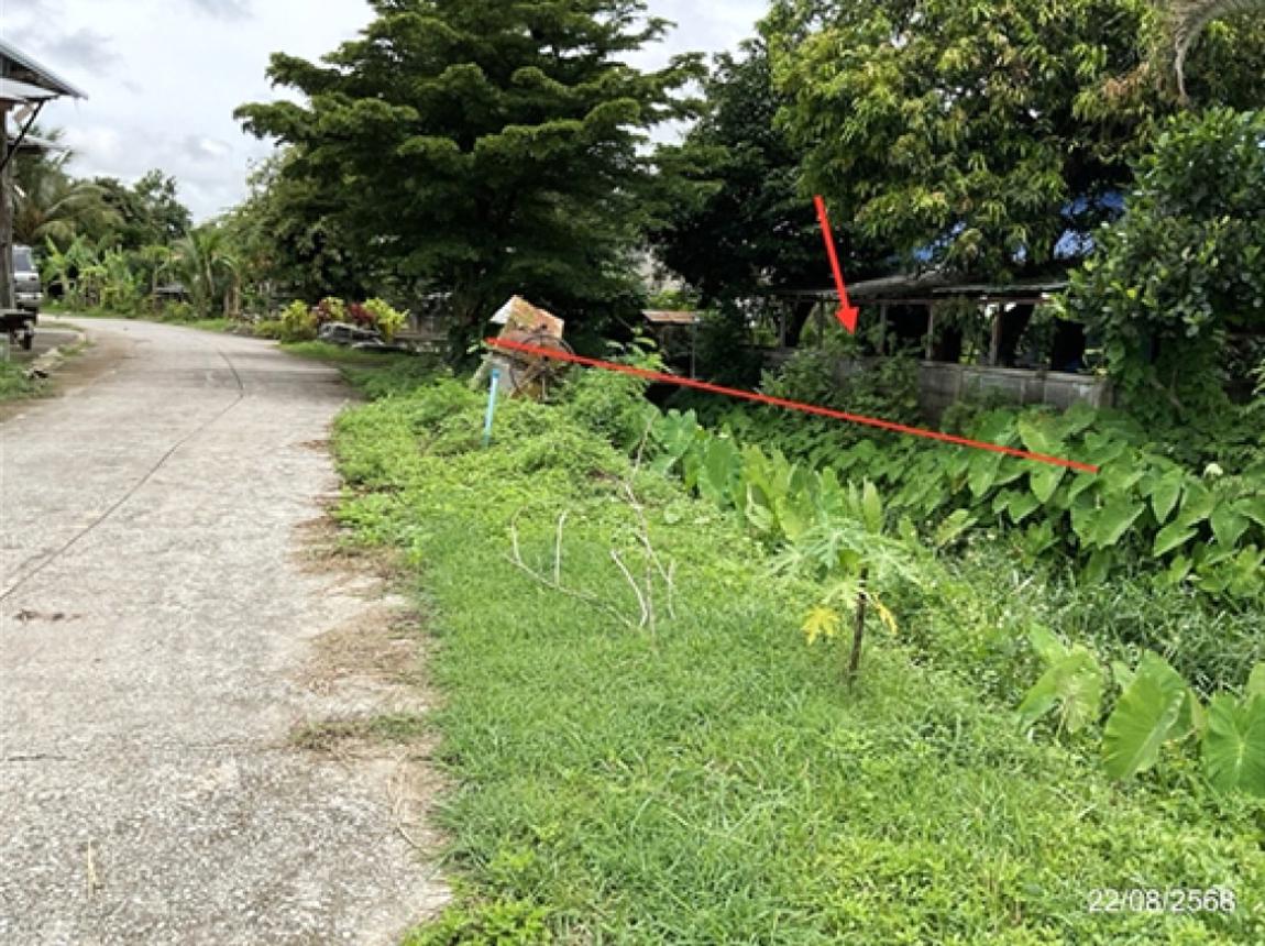 รูป บ้านเดี่ยว สำหรับขาย - เวียงเหนือ เวียงชัย เชียงราย - รูปที่ 11/16