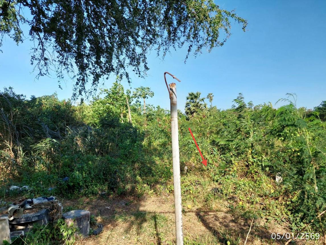 รูป ที่ดินว่างเปล่า สำหรับขาย - เอกราช ป่าโมก อ่างทอง - รูปที่ 9/18