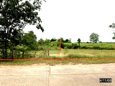 Land for sale Kalasin : LAND for sale  Phu Sing Sahat Khan Kalasin