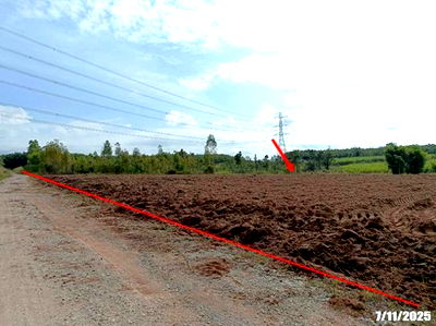 Land for sale Nong Bua Lam Phu : LAND for sale  Non Sa-at Si Bun Ruang Nong Bua Lam Phu