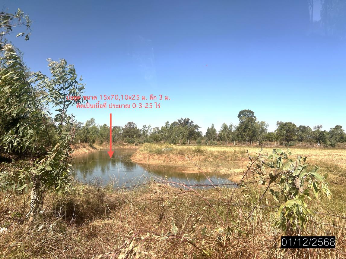 รูป โกดัง สำหรับขาย - ศรีสุข เขื่องใน อุบลราชธานี - รูปที่ 25/30