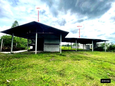 บ้านเดี่ยว สกลนคร : บ้านเดี่ยว สำหรับขาย - หนองหลวง สว่างแดนดิน สกลนคร