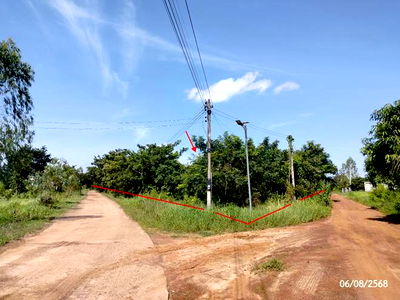 Land for sale Sawang Daen Din Sakon Nakhon : LAND for sale  Sawang Daen Din Sawang Daen Din Sakon Nakhon