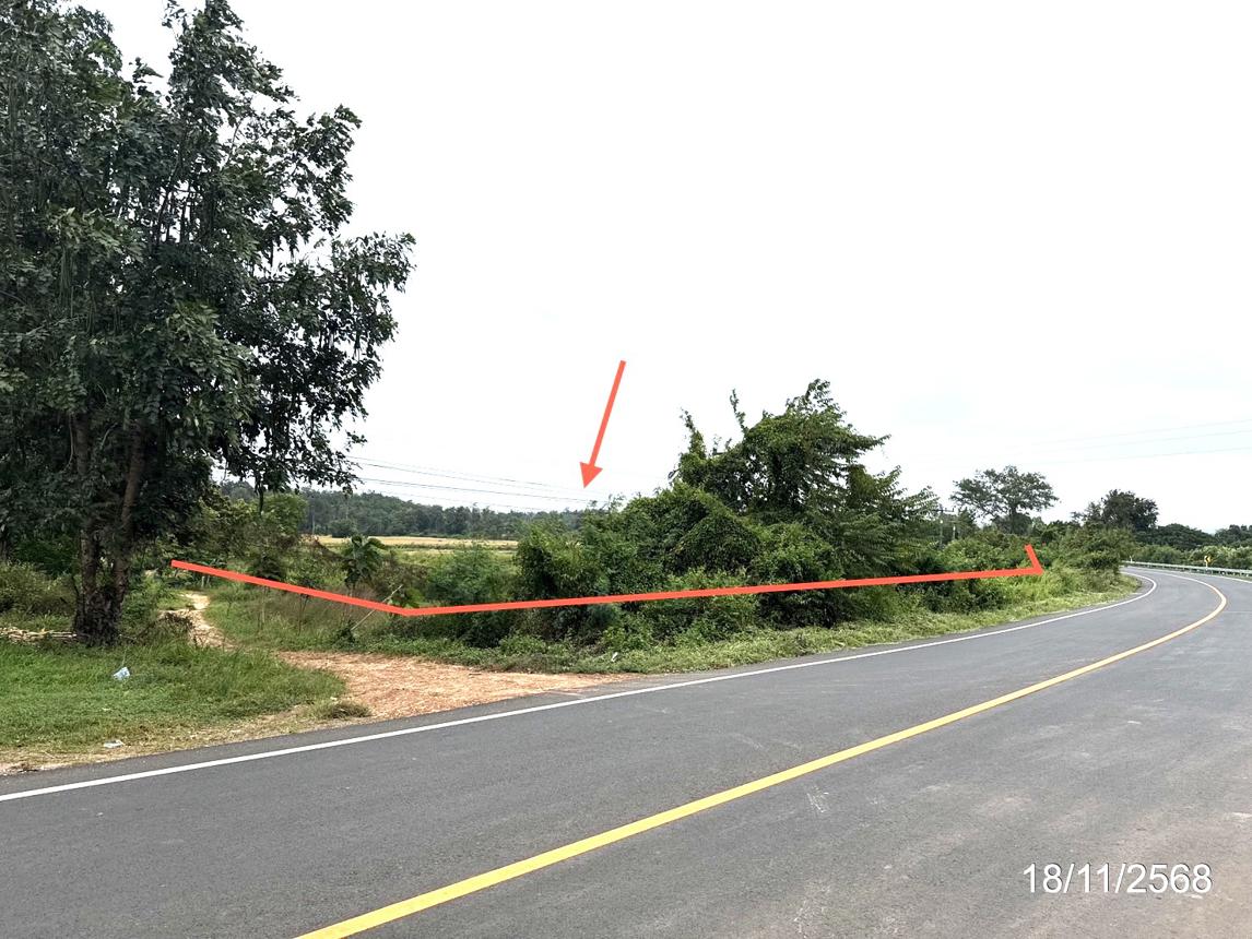 รูป ที่ดินว่างเปล่า สำหรับขาย - สองคอน โพธิ์ไทร อุบลราชธานี - รูปที่ 11/24