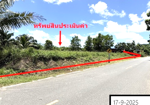 ที่ดินว่างเปล่า สำหรับขาย - คูหาใต้ รัตภูมิ สงขลา