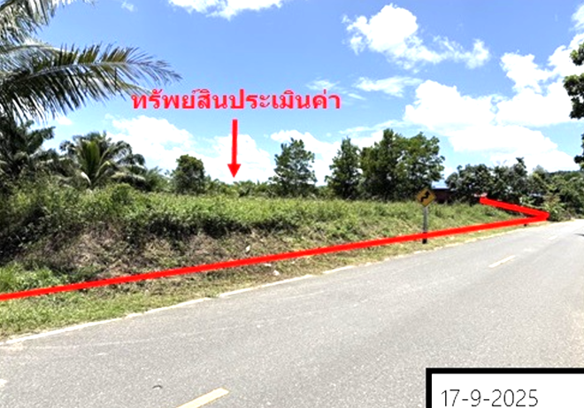 รูป ที่ดินว่างเปล่า สำหรับขาย - คูหาใต้ รัตภูมิ สงขลา - รูปที่ 1/18