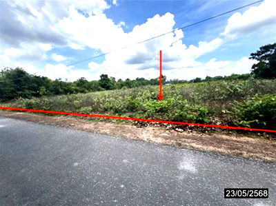 ที่ดิน เมืองอุบลราชธานี อุบลราชธานี : ที่ดินว่างเปล่า สำหรับขาย - ขามใหญ่ เมืองอุบลราชธานี อุบลราชธานี