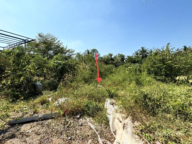 รูป โกดัง สำหรับขาย - ลาดใหญ่ เมืองสมุทรสงคราม สมุทรสงคราม - รูปที่ 10/24