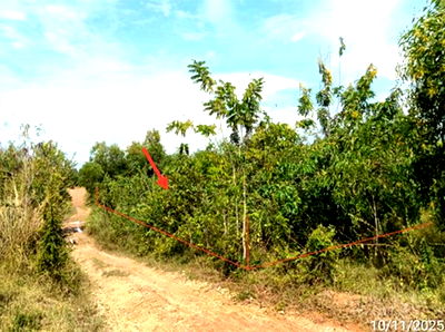 Land for sale Rong Kwang Phrae : LAND for sale  Nam Lao Rong Kwang Phrae