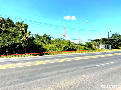 Land for sale Ubon Ratchathani : LAND for sale  Kut Chomphu Phibun Mangsahan Ubon Ratchathani
