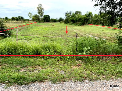 Land for sale Phon Khon Kaen : LAND for sale  Non Kha Phon Khon Kaen