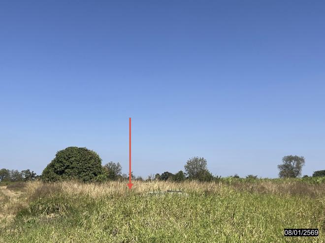 รูป ที่ดินว่างเปล่า สำหรับขาย - หนองโดน จัตุรัส ชัยภูมิ - รูปที่ 3/16