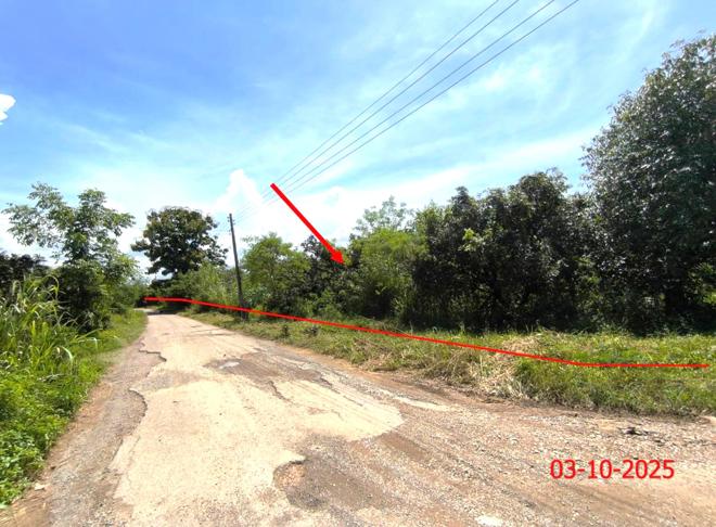 picture LAND for sale  Pa Phai Li Lamphun - 3/18